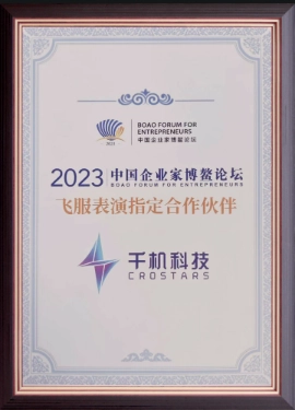 Award 5